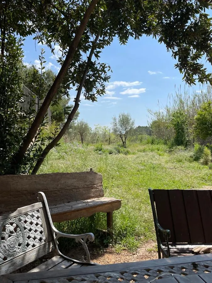 Casa Rural Con Jardin,A 8Km Playa Y En La Naturaleza Taronja&Canyella Ardenya 0*,  Spain
