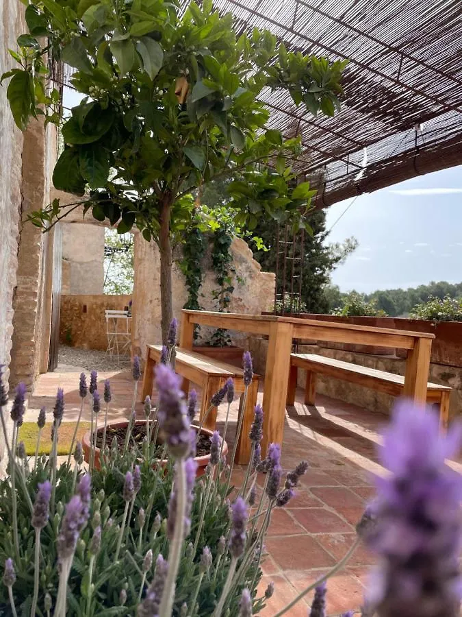 Casa Rural Con Jardin,A 8Km Playa Y En La Naturaleza Taronja&Canyella Ardenya Holiday home