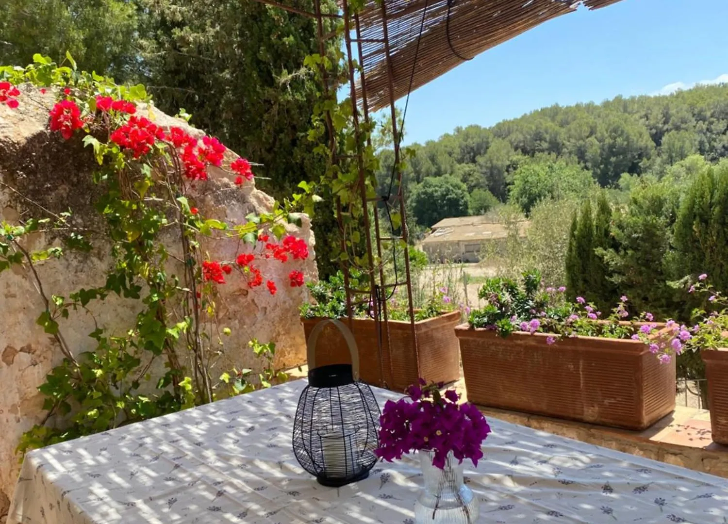 Casa Rural Con Jardin,A 8Km Playa Y En La Naturaleza Taronja&Canyella Ardenya Holiday home